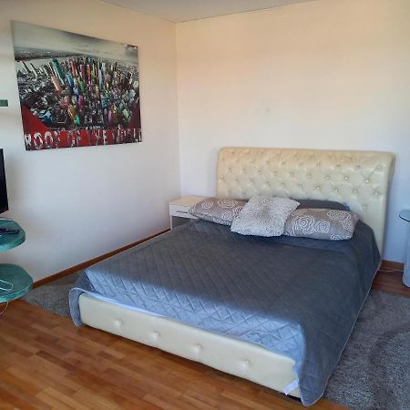 Apartament Studio Mali Zmaj Belgrad Zewnętrze zdjęcie